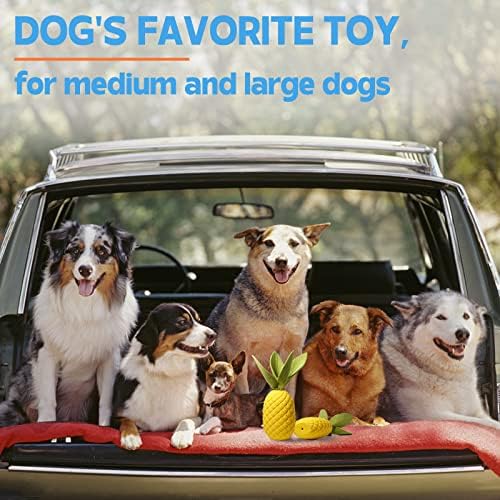 צעצועי כלבים דורפטלי, צעצועי לעיסת כלבים בלתי ניתנים להריסה עבור לועסים אגרסיביים, עמיד קשוח לטיפול