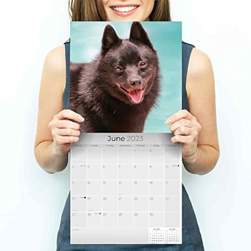 2022 2023 לוח השנה של שיפרקה - גזע כלבים לוח שנה קיר חודשי - 12 x 24 פתוח - נייר עבה ללא דימום - מתנה - לוח השנה