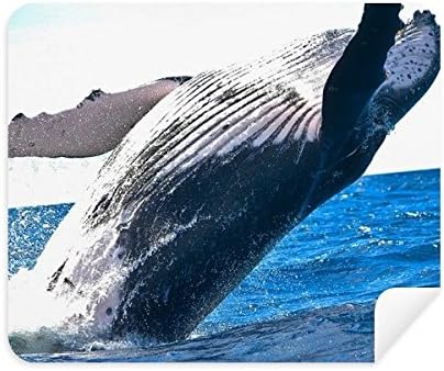 האורגניזם ימי לווייתן אוקיינוס בעלי החיים ניקוי בד מסך מנקה 2 יחידות זמש בד