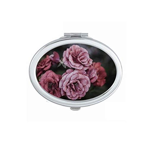 ישן ורוד ורדים פרחי אמנות דקו מתנת אופנה מראה נייד לקפל יד איפור כפול צד משקפיים