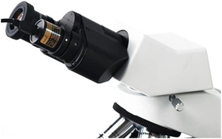 ערכת אביזרי מיקרוסקופ למבוגרים 2 מ '3 מ' 5 מ '8 מ' 12 מ ' יו אס בי2.0 מצלמה עינית דיגיטלית למיקרוסקופ סטריאו