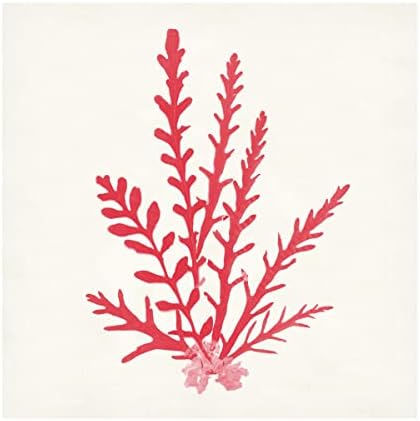 סימן מסחרי אמנות 'פסיפיק ים מוסס III אדום' אמנות בד מאת תיק תפוחים פראי 24x24