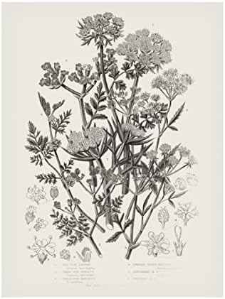 סימן מסחרי אמנות 'צמחים פורחים IV ניטרלי' אמנות בד מאת תיק תפוחים פראי 18x24