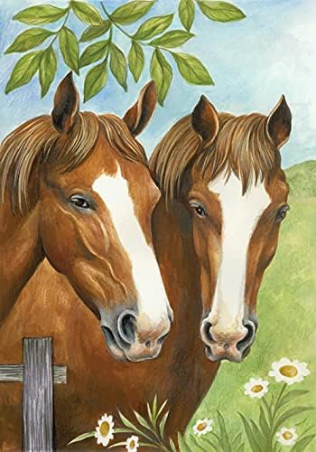 NAIMOER 5D ציור יהלומים ערכות סוסים, מקדחה מלאה של יהלום עגול סוס תאום למבוגרים ציור פנינה,