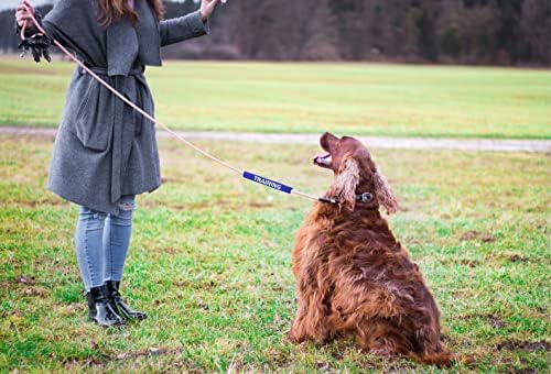 Tacticollar - שרוולי רצועות כלבים, דו צדדי, גלוי מאוד, מספקים אזהרה מתקדמת למניעת תאונות