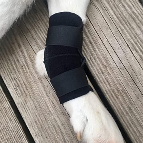 כלב רגל סד קטן או קצר רגליים כלבים אחורי למשכן תמיכה, עוזר לקדם ריפוי ומונע פציעות ונקעים עוזר עם