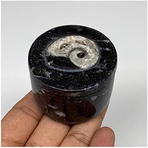 Watangems 130.7 גרם, 1.6 x 2 מאובנים שחורים אורתוצ'רס קופסת תכשיטים צורה עגולה בעבודת יד מלוטשת ממרוקו, מינרלים,