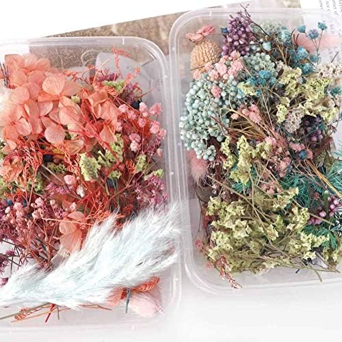אקראי 1box יותר מ 8 מיקס סגנון פרחי פרחים לחוצים דקורס מיובש אביזרי אמנות DIY לעלי ציפורניים Z0S9 תכשיטים
