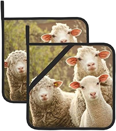 כבשים וכבשים מבודדים מרובעים כרית פאן -8x8 אינץ ', בידוד עמיד חם.