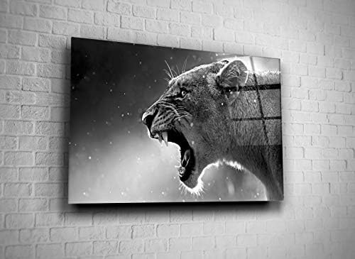 לביאה פראי בעלי החיים שחור ולבן תמונה הדפסת אפריקה טבע מזג זכוכית קיר אמנות בית תפאורה הווה משרד