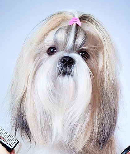 לעומת שנה קודמת 3/4 חיות מחמד כלב נמתח גומי להקות, 600 / תיבה-גור גומיות קשרי פוני זנב מחזיקי שיער אביזרי