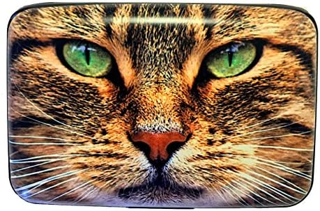 תאנה עיצוב קבוצת ירוק עין חתול מאובטח גניבת הגנה אשראי כרטיס משוריין ארנק לחיות מחמד חדש