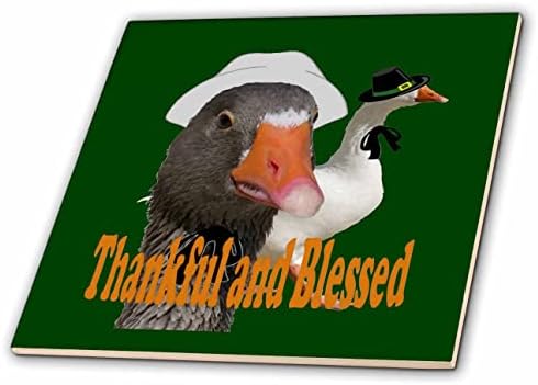 3רוז אסיר תודה ומבורך הודיה צליינים ברווזים בתחפושת-אריחים