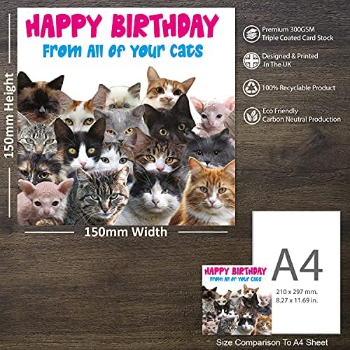 פולחן קיטי - מהחתולים שלך - כרטיס יום הולדת לחתול מצחיק בשבילו - כרטיס יום הולדת בשבילה - כרטיס יום הולדת אמא