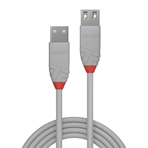 Lindy USB 2.0 סוג הרחבה A, אנטרלין, אפור, 0.5 מ '