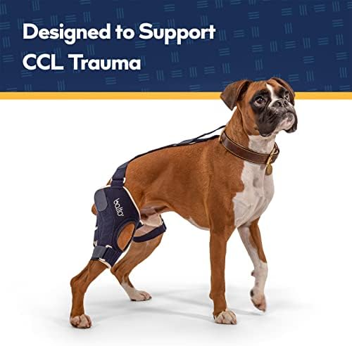 - כלב הברך סד-סד עם אלומיניום סדים-לפני / לאחר ניתוח תמיכה עוזר למנוע פציעות חדשות-רגל ימין, גדול