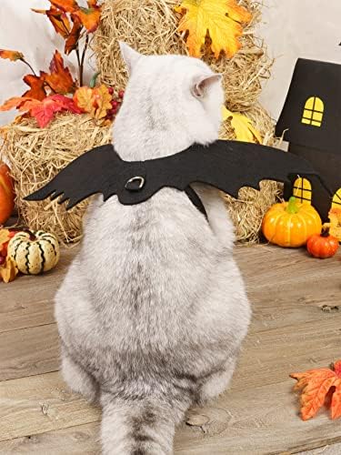 Qwinee Halloween כנפי עטלף כלב תחפושת לחתול קוספליי תלבושות בגדי חתול לגור חתלתול חתלתול כלבים בינוניים קטנים