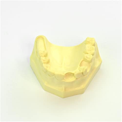 לימיטה מודל לימוד שיניים מקסילרי מודל מעשי - מודל השתלת שיניים מנדבולרית מדומה - להדרכת דגם שיניים משתל,