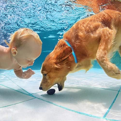 Lifis LED צווארון כלב LED מדליק את IPX7 אטום מים עמיד למים זוהר בצווארוני הכלבים הכהים לכלבים קטנים