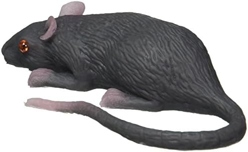 עכבר גומי חיים בינלאומי לופטוס, אפור, גודל 3 1/2 אינץ '