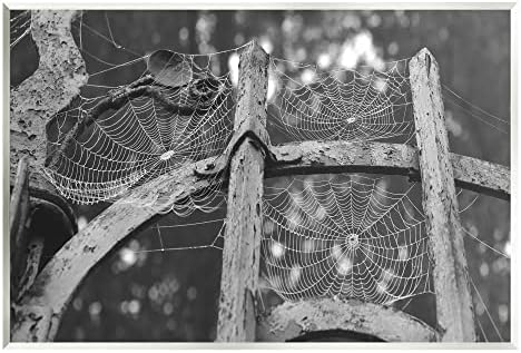 סטופל תעשיות ספוקי קורי עכביש כפרי מונוכרום שער עץ קיר אמנות, עיצוב על ידי דפני פולסלי