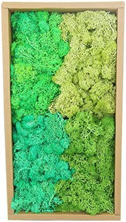 4 צבע איילים שמורים אזוב טבעי בצבע ירוק טחב למספר שולחן טחב מלאכות מלאכה קיר טחב אמנות עציץ