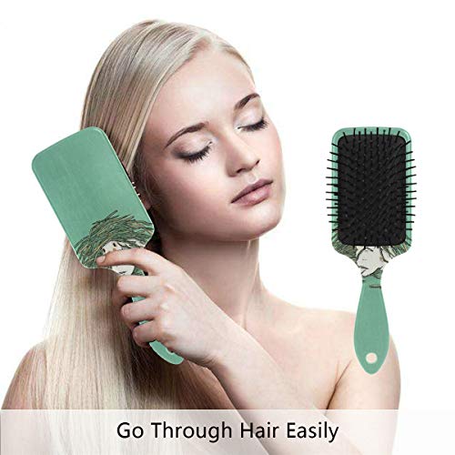 מברשת שיער של כרית אוויר של VIPSK, ארנב מרעה צבעוני פלסטיק, עיסוי טוב מתאים ומברשת שיער מתנתקת