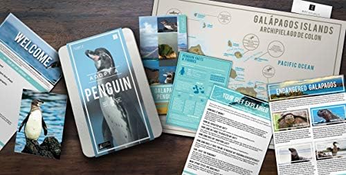 פינגווין רפובליקת מתנה לאמץ אותו-פח אימוץ בעלי חיים צדקה