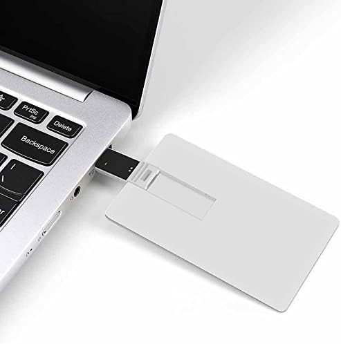 אוניטת ויליאם מוריס USB 2.0 מכשירי פלאש מכשירי זיכרון צורת כרטיס אשראי