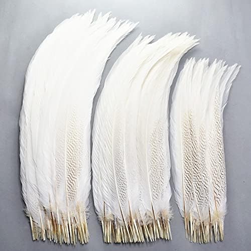 נוצות זנב פסיון כסף טבעי 10-80 סמ נוצות פסיון לבן עבור תכשיטים בעבודת יד מלאכה תלבושות נוצות