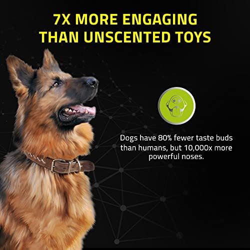 פלייולוגיה חורקת צעצוע כלב כדורים, ערך 2 חבילה לכלבים בינוניים/גדולים - עבור העיסות הכבדות ביותר