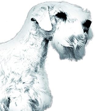 סילהם טרייר, מצבה סגלגלה מאריחי קרמיקה עם תמונה של כלב
