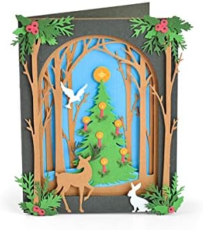 קופסת צל לחג המולד של סיזקס מאת קורטני צ'ילסון מת, ארהב: גודל אחד, רב צבעוני