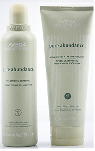 Aveda Pure Practance Shampoo 8.5 Oz & Clay M מרגש 6.7 צמד