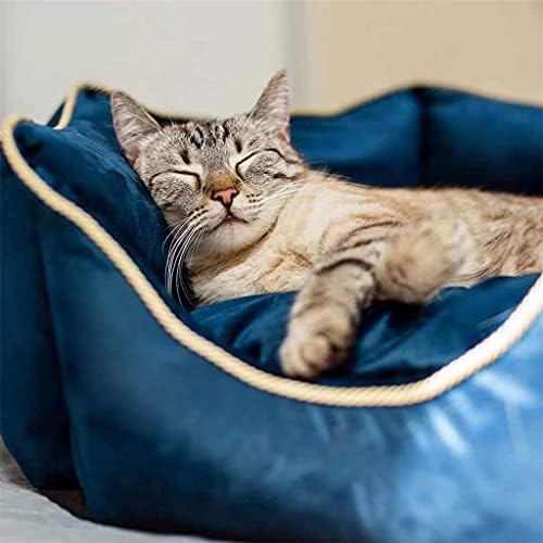 טיימוביי חתולי חורף מיטת חיות מחמד חתולים חמים מיטת מיטת כלב נוחה מיטת כלבים רכה מיטת מיטת מיטה כלב קטן חתולי