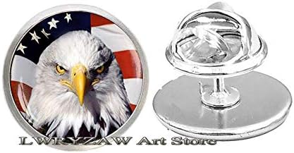 סיכת דגל הנשרים האמריקאית, כוכבים ופסים, מתנה בארהב, תכשיטים פטריוטיים אמריקה ארצות הברית 4