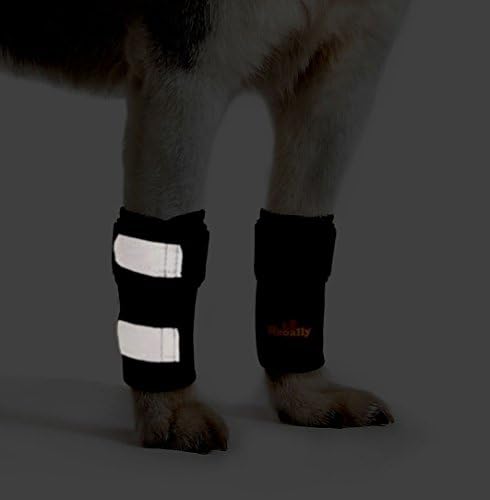 פלטות לכלבים קדמיות רגליים קרפליות תומכות בכלבים עם רצועות רפלקטיביות בטיחותיות לצליעה, כאבי מפרקים, צליעה ואובדן