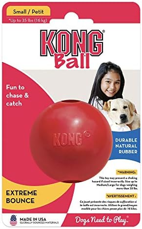 קונג-כדור עם חור - עמיד גומי, להביא צעצוע-לכלבים קטנים